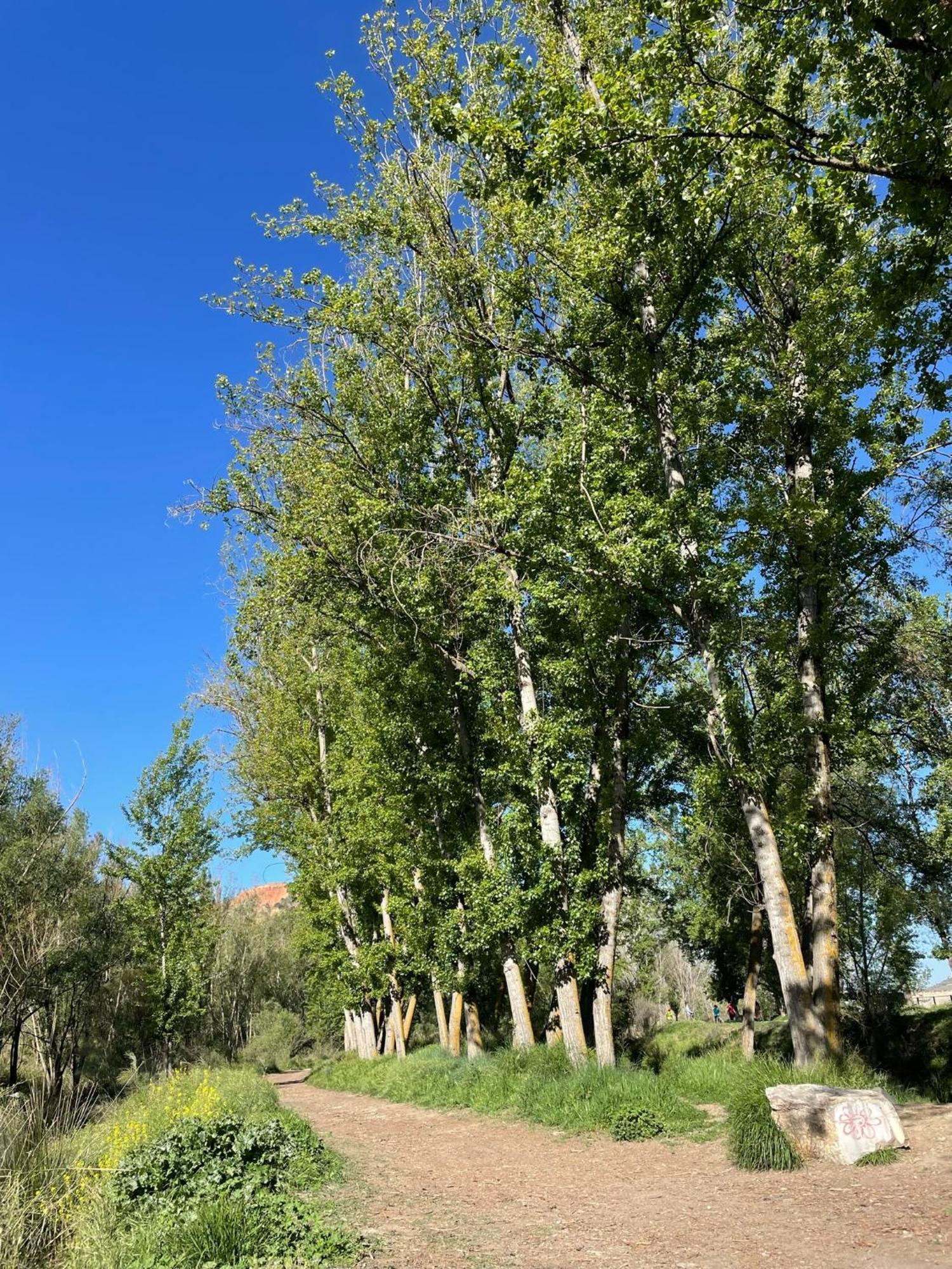 Apartamento Ruta Del Veleta Cenes De La Vega Buitenkant foto